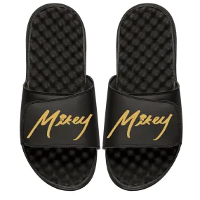 Mikey Garcia Slides