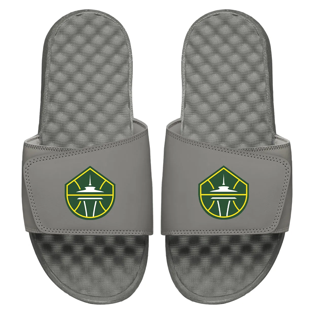 Seattle Storm Primary Slides