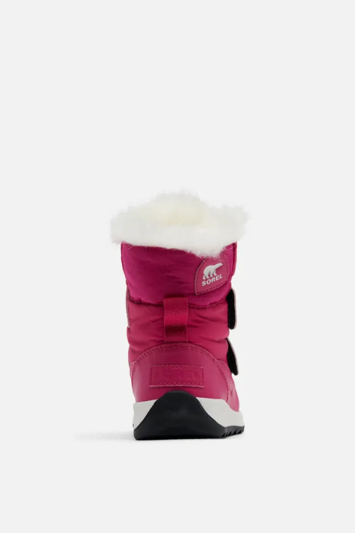 Sorel Children's Bright Lavendar & Collegiate Navy Whitney II Strap WP