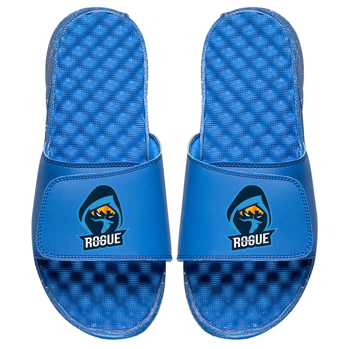 Team Rogue Royal Slides