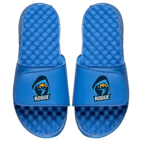 Team Rogue Royal Slides