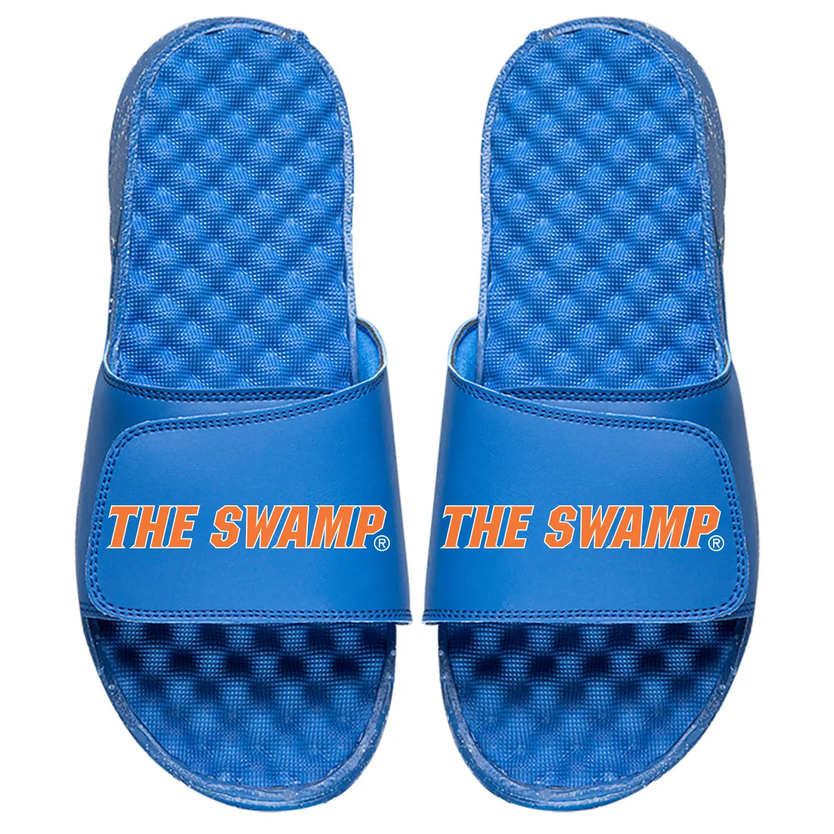 The Swamp Slides