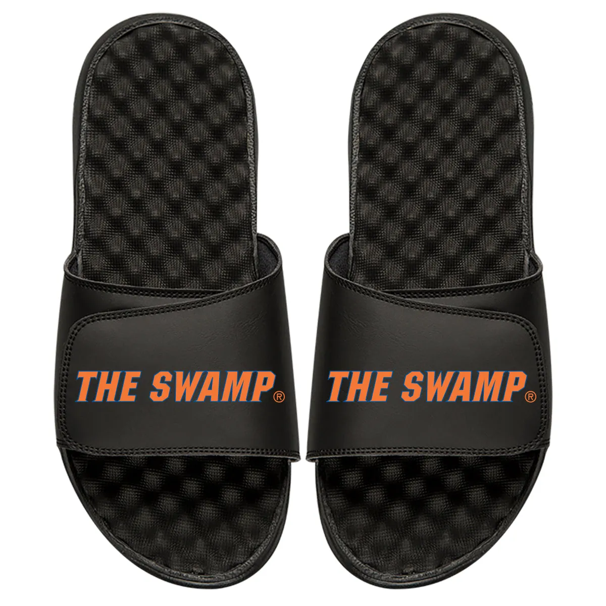 The Swamp Slides